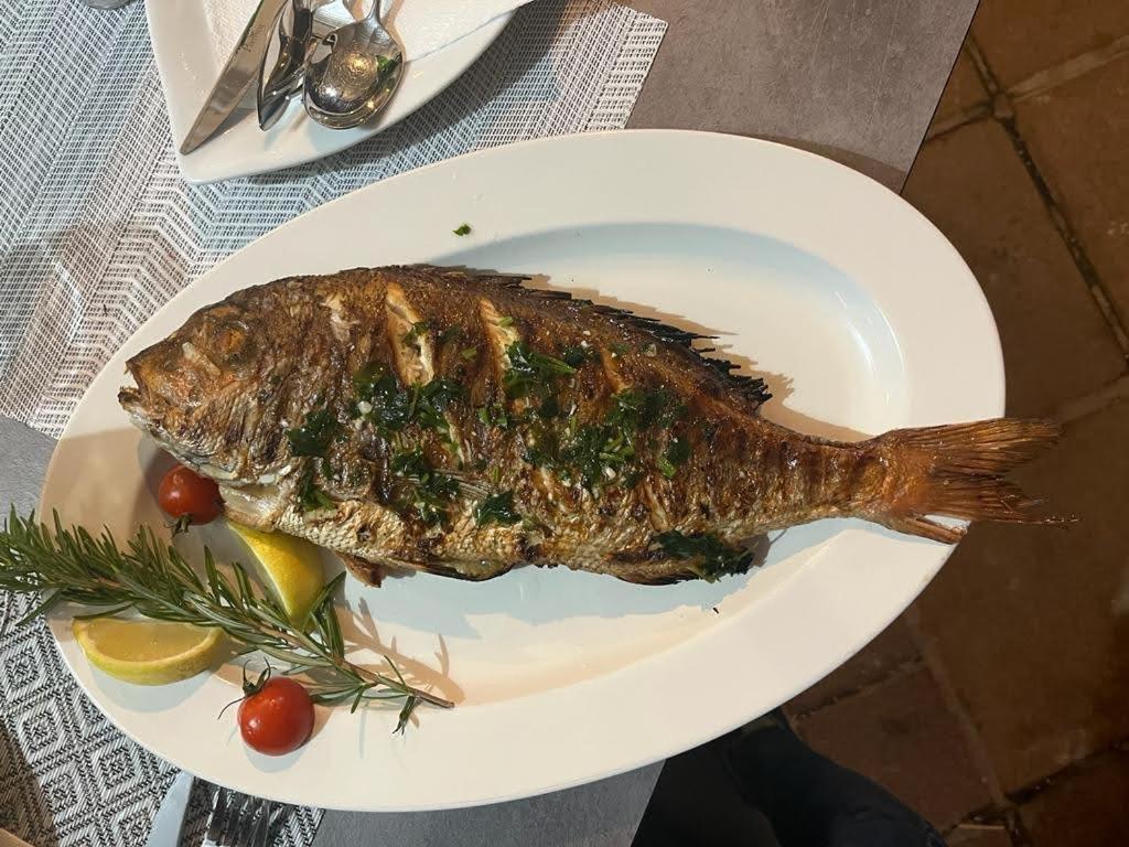 Vila Nataly Trogir Eksteriør bilde